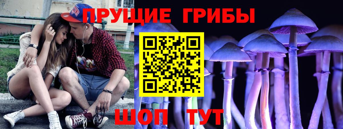 Галлюциногенные грибы мухоморы  Вход с VPN  Карачаевск 